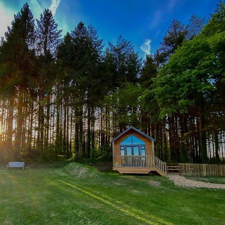 Cabin In The Woods - 1 Bedroom Lodge - Kilgetty Stepaside  Екстер'єр фото