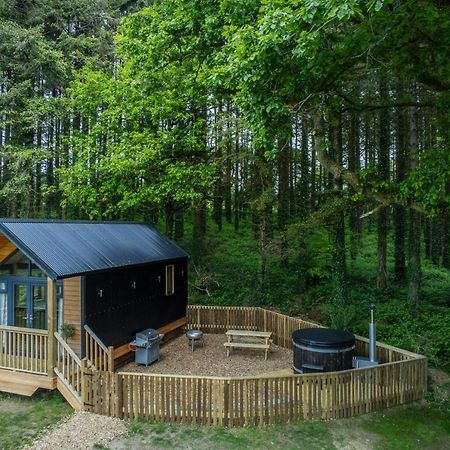 Cabin In The Woods - 1 Bedroom Lodge - Kilgetty Stepaside  Екстер'єр фото