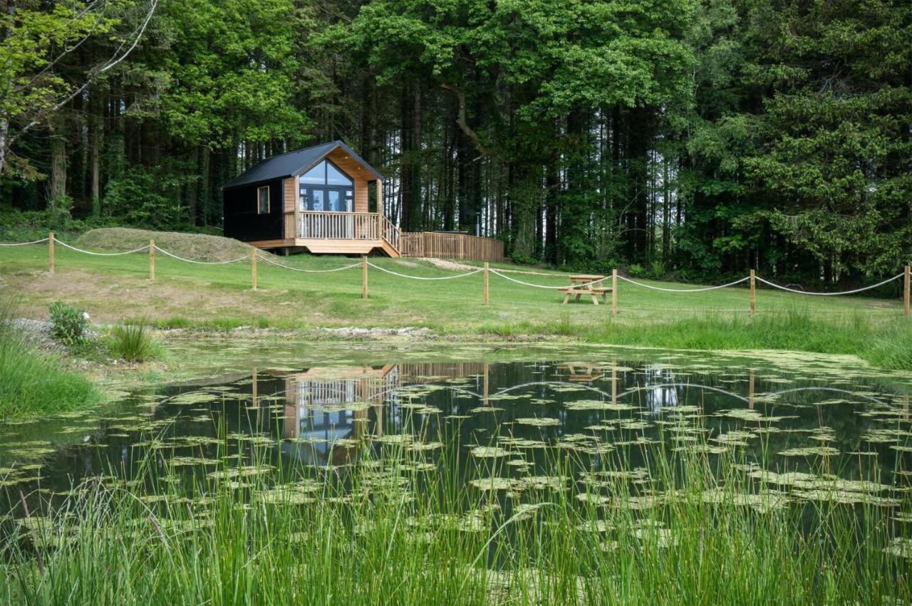 Cabin In The Woods - 1 Bedroom Lodge - Kilgetty Stepaside  Екстер'єр фото