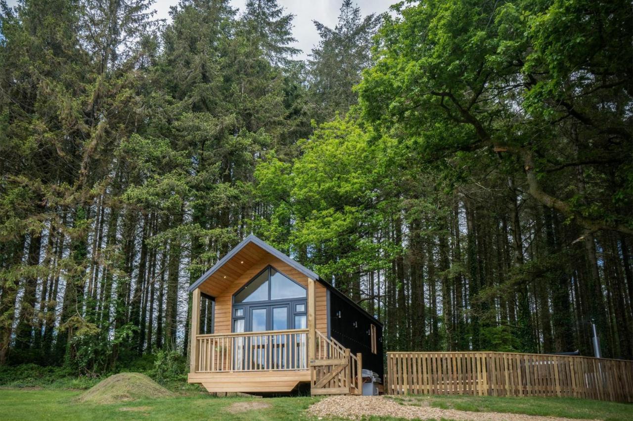 Cabin In The Woods - 1 Bedroom Lodge - Kilgetty Stepaside  Екстер'єр фото