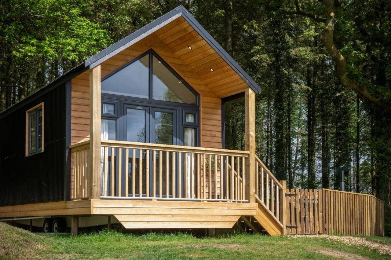 Cabin In The Woods - 1 Bedroom Lodge - Kilgetty Stepaside  Екстер'єр фото