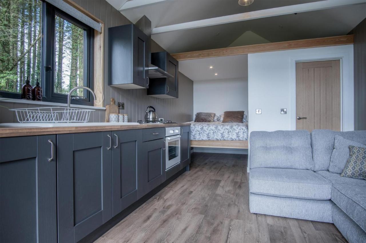 Cabin In The Woods - 1 Bedroom Lodge - Kilgetty Stepaside  Екстер'єр фото