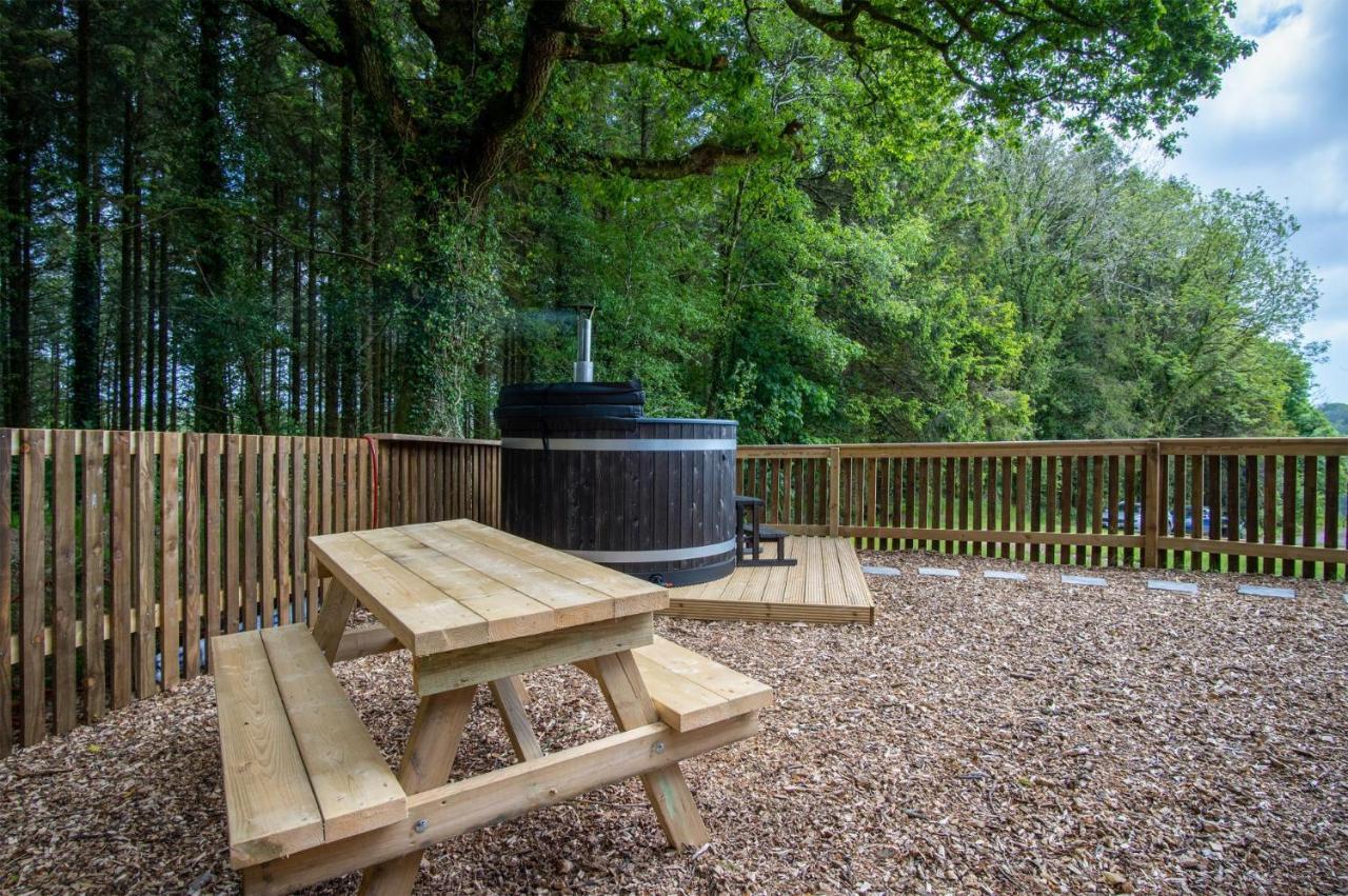 Cabin In The Woods - 1 Bedroom Lodge - Kilgetty Stepaside  Екстер'єр фото