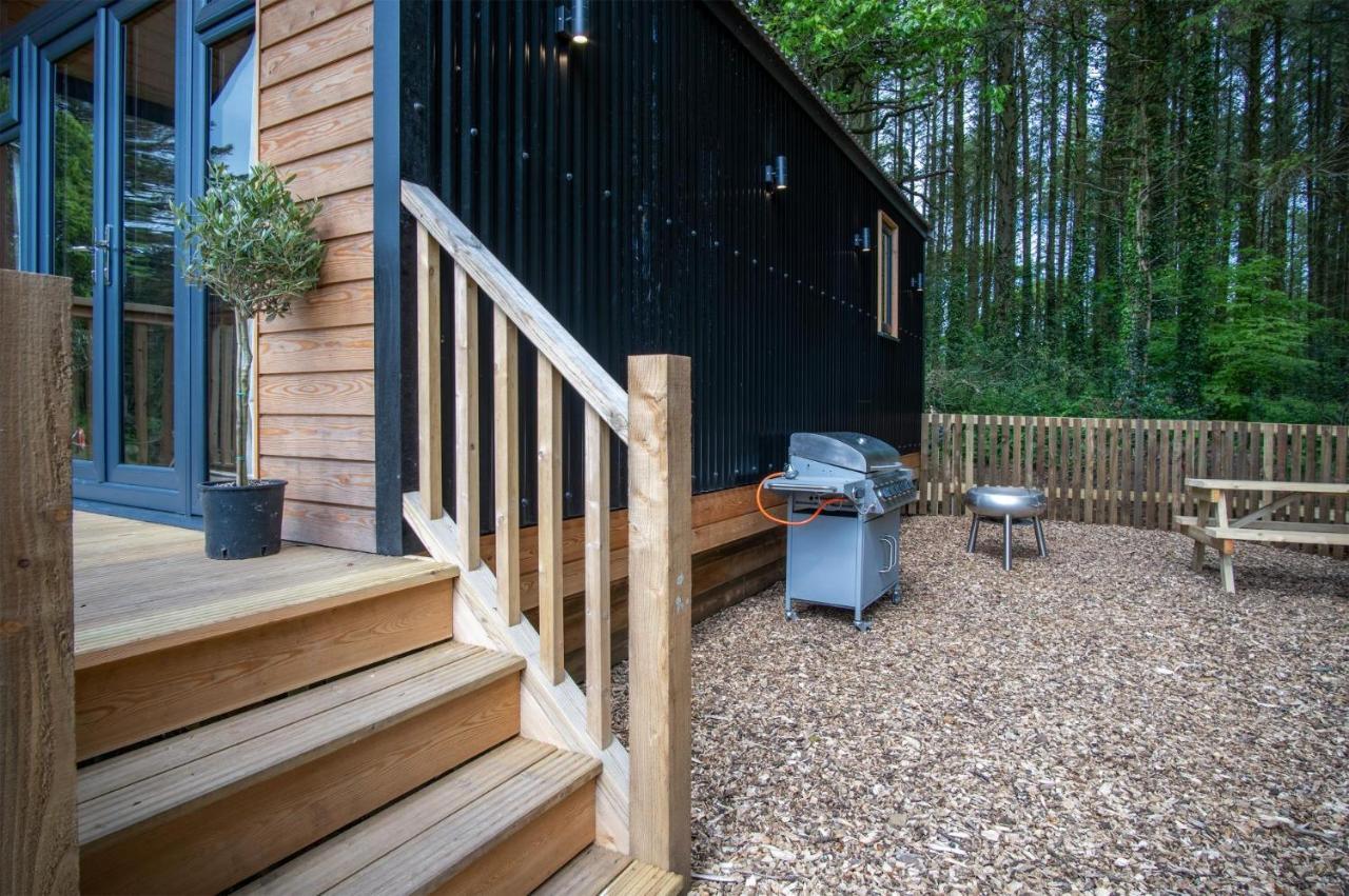 Cabin In The Woods - 1 Bedroom Lodge - Kilgetty Stepaside  Екстер'єр фото