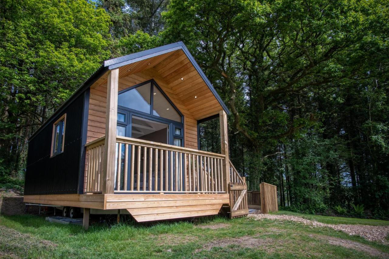 Cabin In The Woods - 1 Bedroom Lodge - Kilgetty Stepaside  Екстер'єр фото